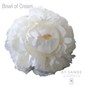 Bowl of Cream