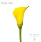 Florex Gold
