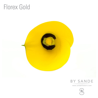 Florex Gold