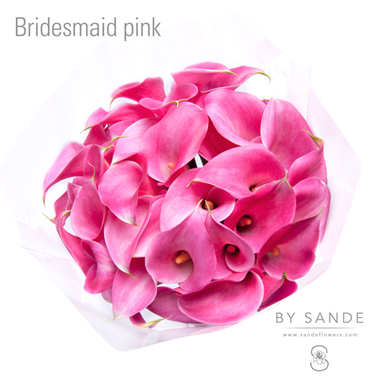 Bridesmaids pink