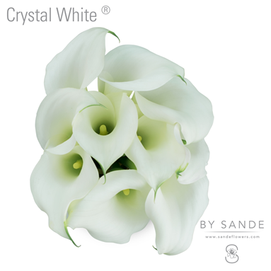 Crystal White
