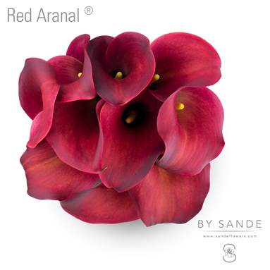 Red Aranal®