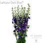 Larkspur Dark Blue