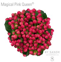 Magical Pink Queen
