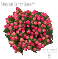 Magical Candy Queen