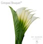 Cotopaxi Bouquets