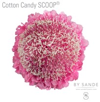 Cotton Candy SCOOP