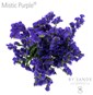 Mistic Purple®